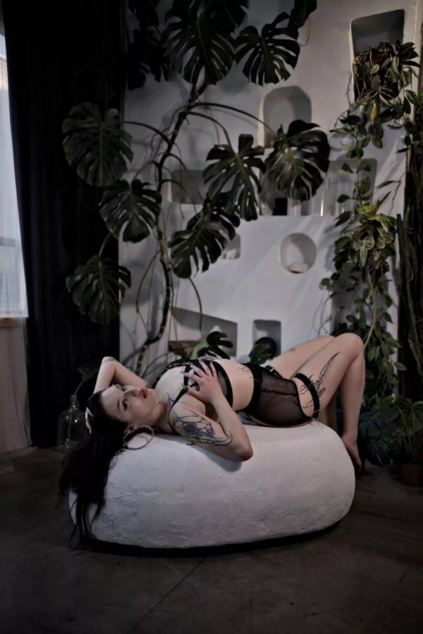 thumb_1671705_1920_1920_0_0_fit (1).jpg